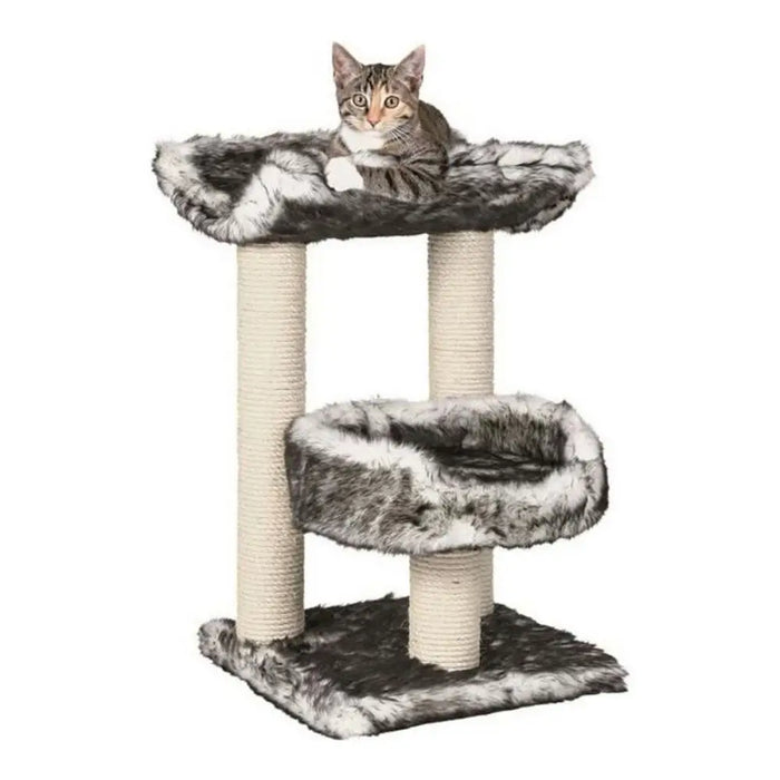 Scratching Post for Cats Trixie 44567 Tree Sisal Black Ø 8 cm 62 cm 36 x 36 cm - Здраве и хигиена<<<Домашни