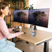 Screen Table Support R-Go RGOVLZE4TWSI 32’’ - Електроника Периферни и резервни части<<<Компютри|