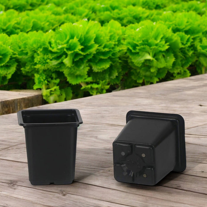 SET OF SEEDLINGS 20PCS GARDEN STAR HD-10864 - Аксесоари за разсад<<<Оранжерии и аксесоари за