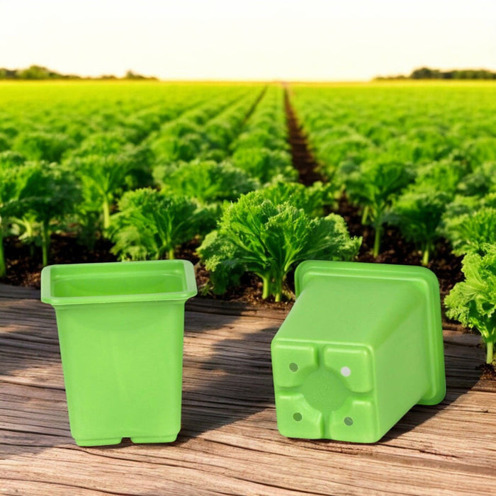 SET OF SEEDLINGS 20PCS GARDEN STAR HD-10864 - Аксесоари за разсад<<<Оранжерии и аксесоари за