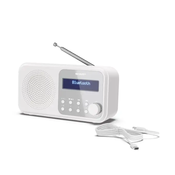 Sharp Radios DR-P420(WH) PORTABLE DIGITAL RADIO Bluetooth 5.0 20 DAB+/DAB/FM Auto time/date LCD Display Dual