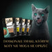 Sheba Delicacy in Jelly Chicken Flavours 12 x 85 g - Wet foodDLK-KAM<<<For the catDLK<<<ActionPL
