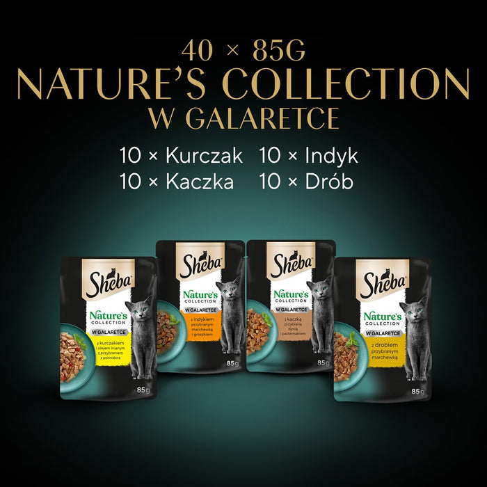 SHEBA Nature's Collection Poultry Flavors in jelly - wet cat food - 40 x 85g
