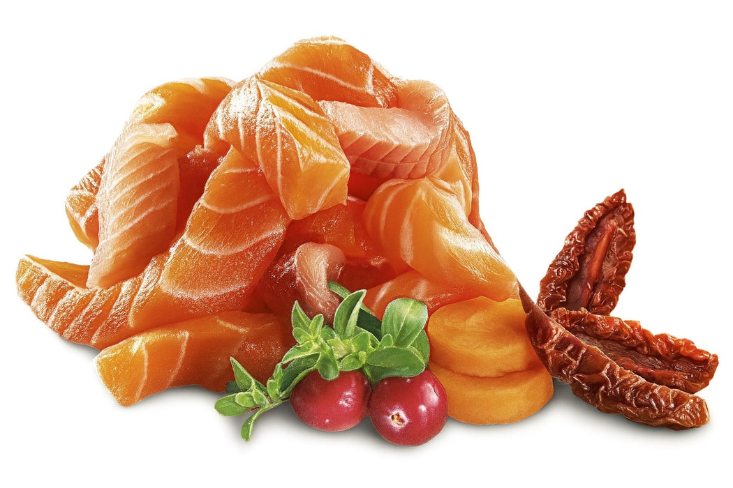 SHELMA Salmon and trout pate - wet cat food - 100g