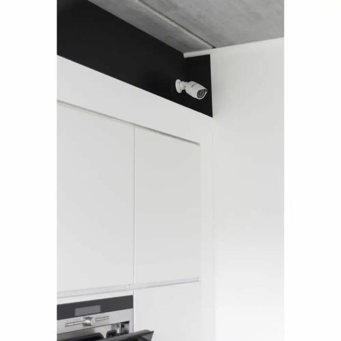 Simulated security camera Chacon - Сигурност Удома<<<Дом Градина<<<BigBuy&&&Видеокамери за наблюдение<<<Сигурност