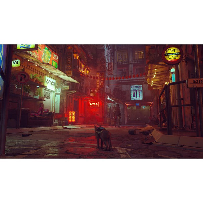 Stray Game (NSW)