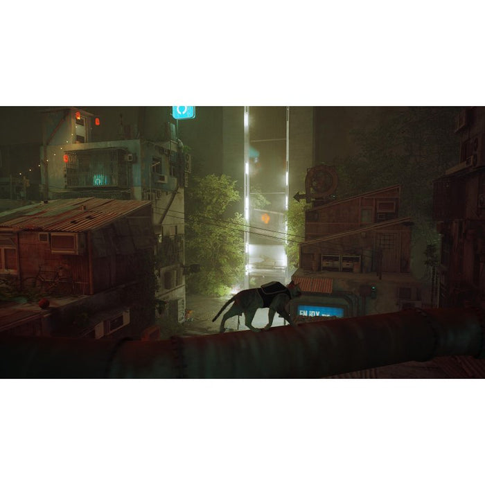 Stray Game (NSW)