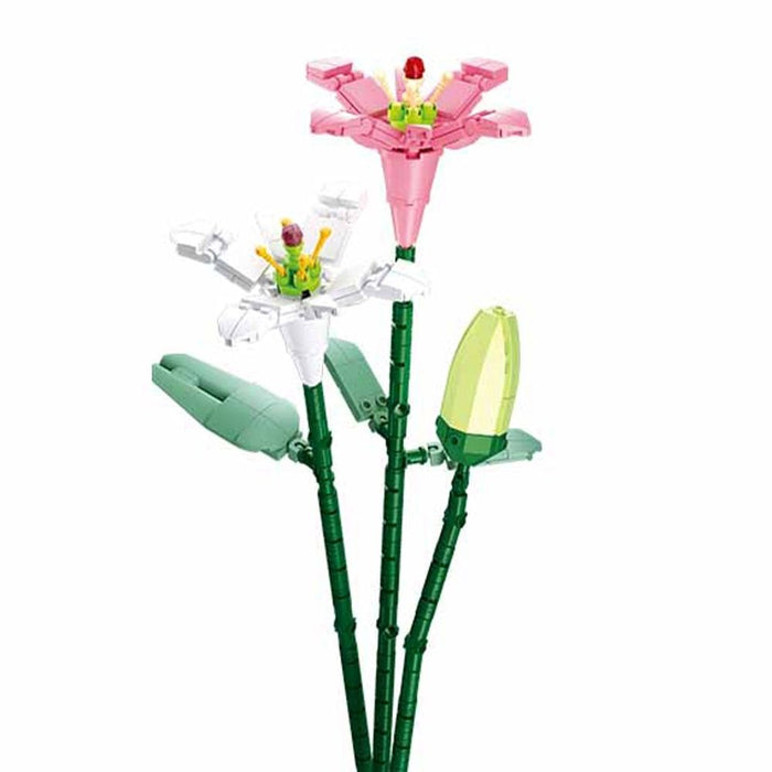 SLUBAN LILY