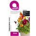 SMALL VIOLET SEEDS MIX LAKTOFOL BOTANIC - Семена<<<Семена луковици и разсад<<<Градина<<<Praktiker