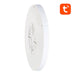 Smart ceiling lamp 30cm WiFi/Bluetooth 16M RGBCW Gosund LB12 1920lm Tuya + Remote Control. - Ceiling