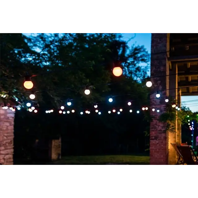 SMART LIGHTS TWINKLY FESTOON 20 RGB 10 M - Christmas tree lightsOSW-OLC<<<LightingOSW<<<ActionPL