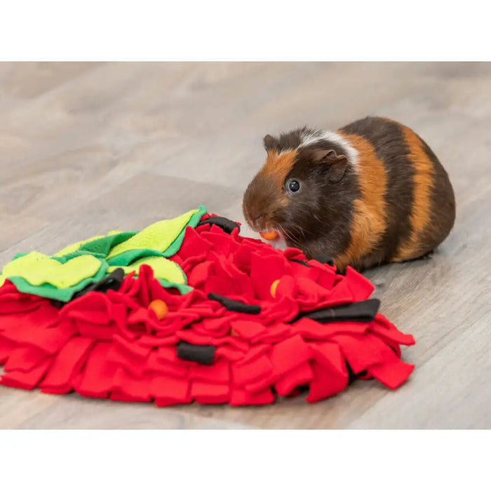 Sniffing Mat for Pets Trixie - Домашни Животни<<<Дом Градина<<<BigBuy&&&Играчки<<<Домашни Животни<<<Дом Градина<<<BigBuy