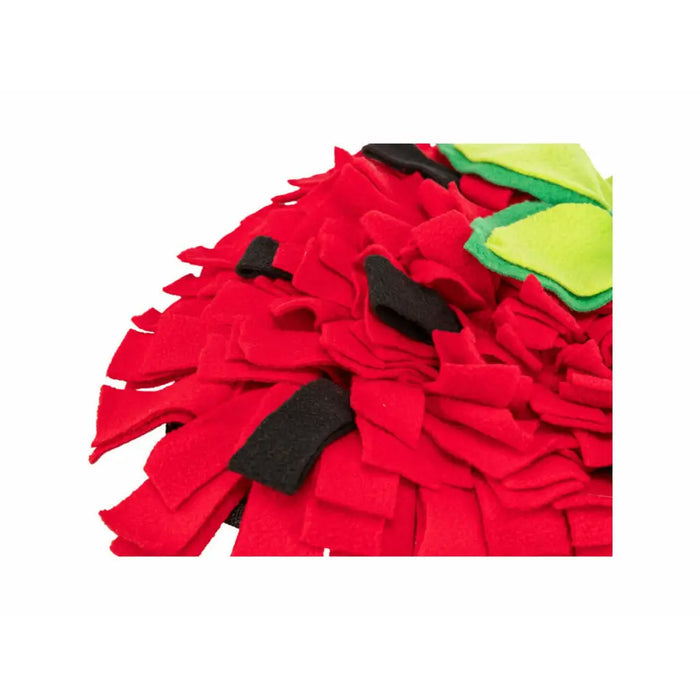 Sniffing Mat for Pets Trixie - Домашни Животни<<<Дом Градина<<<BigBuy&&&Играчки<<<Домашни Животни<<<Дом Градина<<<BigBuy