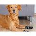 Socks Trixie Black L Dog - Домашни Животни<<<Дом Градина<<<BigBuy&&&Пътуване и разходки<<<Домашни Животни<<<Дом