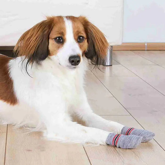 Socks Trixie Grey M/L Dog - Домашни Животни<<<Дом Градина<<<BigBuy&&&Пътуване и разходки<<<Домашни Животни<<<Дом