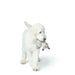 Soft toy for dogs Hunter Beige 100 % Recycled Fox - Домашни Животни<<<Дом Градина<<<BigBuy&&&Играчки<<<Домашни