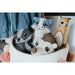 Soft toy for dogs Hunter Brown 100 % Recycled Bear - Домашни Животни<<<Дом Градина<<<BigBuy&&&Играчки<<<Домашни