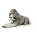 Soft toy for dogs Hunter Skagen Grey Dark blue Polyester Star - Домашни Животни<<<Дом