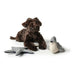 Soft toy for dogs Hunter Skagen Grey Dark blue Polyester Star - Домашни Животни<<<Дом