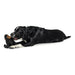 Soft toy for dogs Hunter Tough Kamerun Gorilla (29 cm) - Домашни Животни<<<Дом Градина<<<BigBuy&&&Играчки<<<Домашни