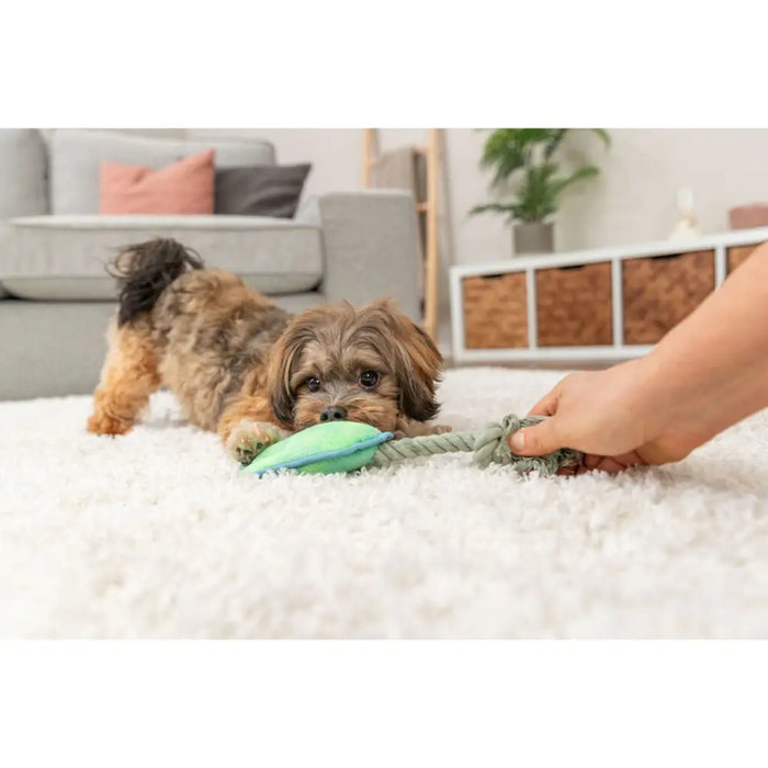 Soft toy for dogs Trixie Blue Green Polyester 22 cm - Домашни Животни<<<Дом Градина<<<BigBuy&&&Играчки<<<Домашни