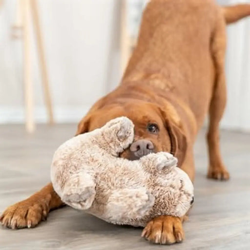 Soft toy for dogs Trixie Polyester Plush Koala 25 cm - Домашни Животни<<<Дом Градина<<<BigBuy&&&Играчки<<<Домашни