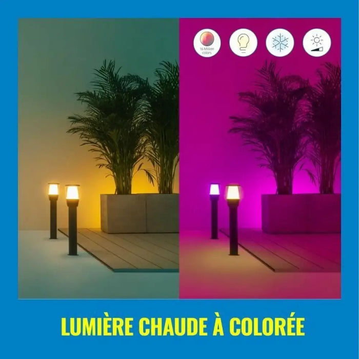 Solar lamp Wiz Elpas Black 400 lm - Декорация и Осветление<<<Дом Градина<<<BigBuy&&&Соларно осветление<<<Декорация и