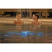 SOLAR LED FOUNTAIN BESTWAY 58849 BESTWAY 58849 - Аксесоари за басейни<<<Басейни плажни артикули и