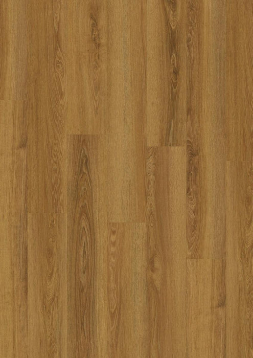 PLATTY FOR SILICONE APPLICATION