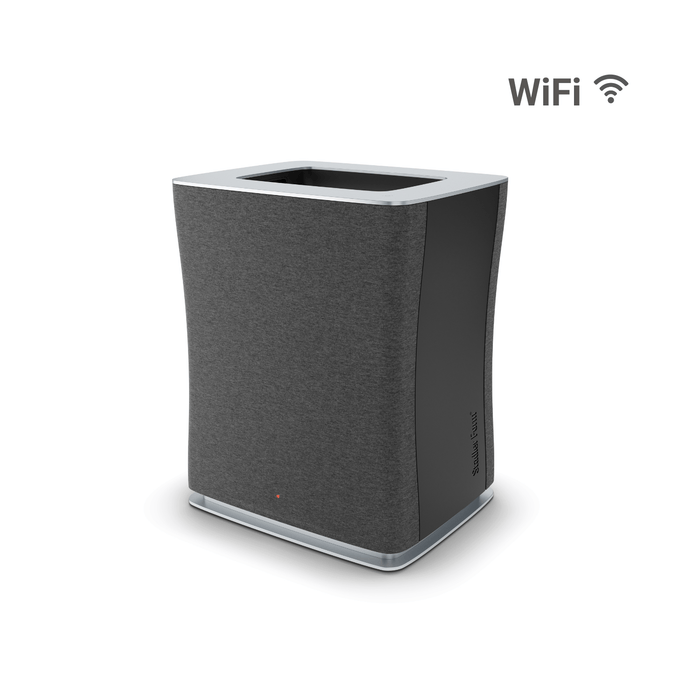 Air purifier Roger big WiFi