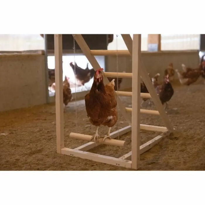 Staircase Kerbl Chicken - Домашни Животни<<<Дом Градина<<<BigBuy&&&Купички за храна и вода<<<Домашни Животни<<<Дом