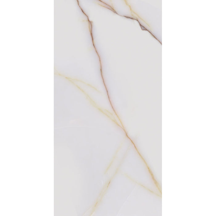 GRANITOGRES STAR GRES ICON POLISHED 60X120 CM