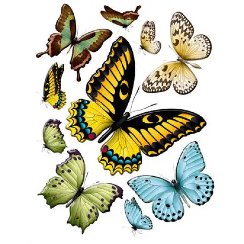 STICKER 65X85CM./1 PART BUTTERFLIES - Стикери<<<Декорации<<<Мебели и интериор<<<Praktiker