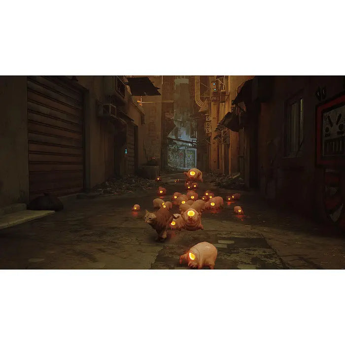 Stray Game (NSW) - Игри<<<Конзоли и аксесоари<<<ТВ Аудио Gaming<<<ZoraSite