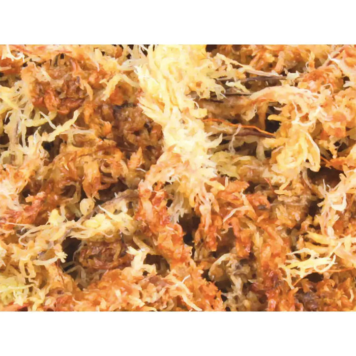 Substrate Trixie 4,5 L Moss - Домашни Животни<<<Дом Градина<<<BigBuy&&&Здраве и хигиена<<<Домашни Животни<<<Дом