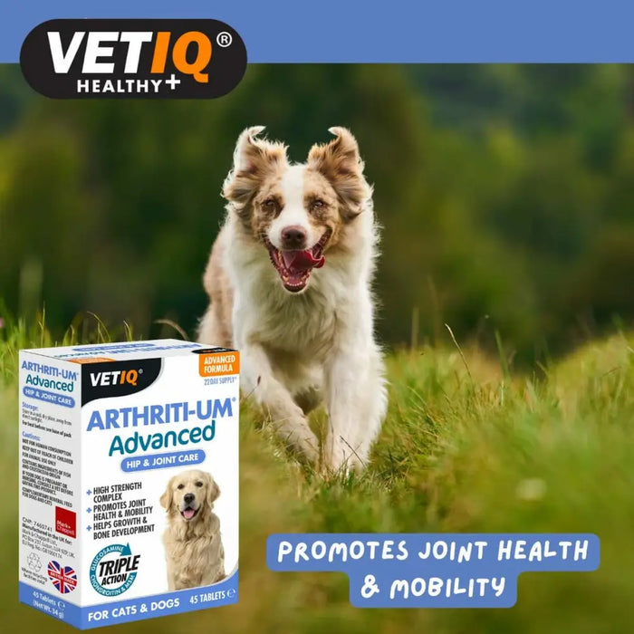 Supplements and vitamins Mark & Chappell VETIQ ARTHRITI-UM ADVANCED - Домашни Животни<<<Дом Градина<<<BigBuy&&&Хранене