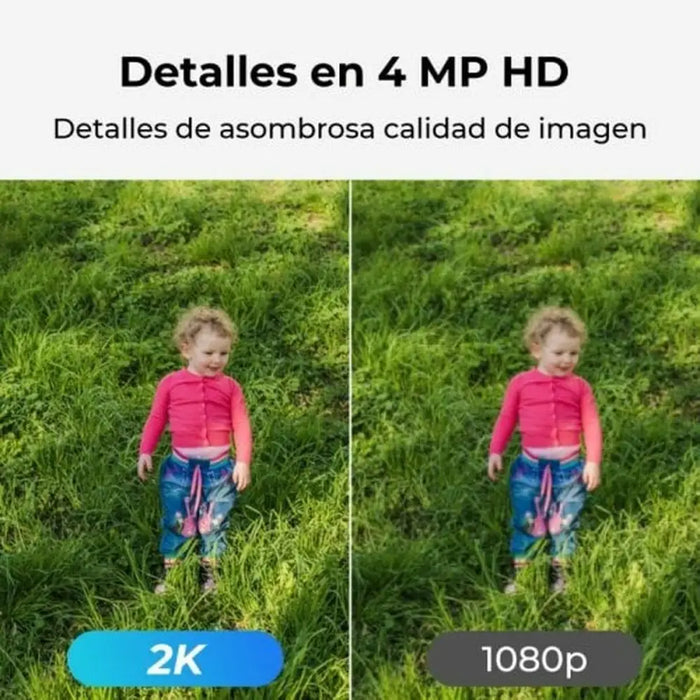 Surveillance Camcorder Reolink - Сигурност Удома<<<Дом Градина<<<BigBuy&&&Видеокамери за наблюдение<<<Сигурност