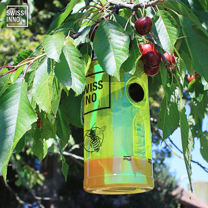 SWISSINNO WASP TRAP