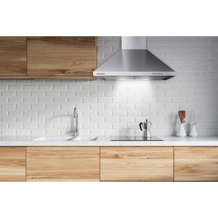 Absorber TAURUS GALLERY 60 INOX B