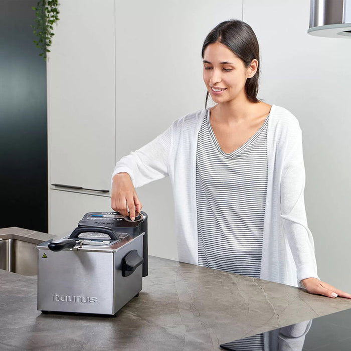 FRYER TAURUS PRO. 3L PLUS 3.00 L, 1.00 kg, 2100 W, GRAY