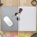 Tech-Protect SmartShell Case for MacBook Pro 13’’ 2016-2022 - Clear - Cell phone cases and covers<<<HurtelXML
