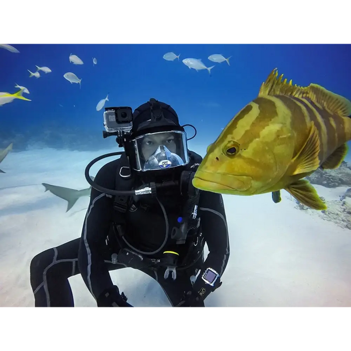 Tech-Protect Waterproof Case for GoPro Hero 5 / 6 / 7 - transparent - Sport products<<<HurtelXML