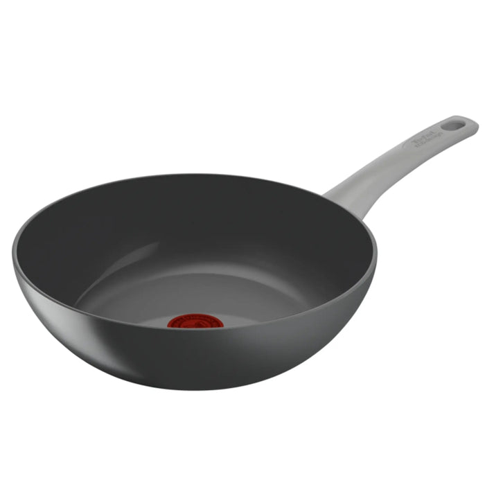 Tefal C4271932 WP28 M PAVOT CER RENEW ON HIPPO