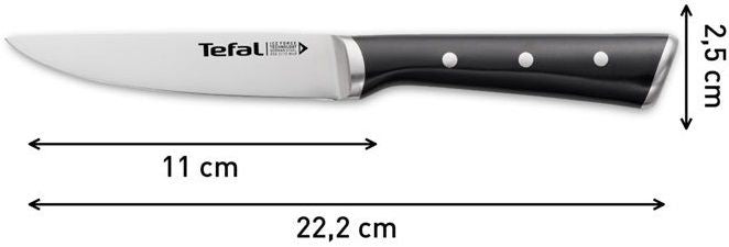 Kitchen knife TEFAL Ice Force 11 cm. K2320914