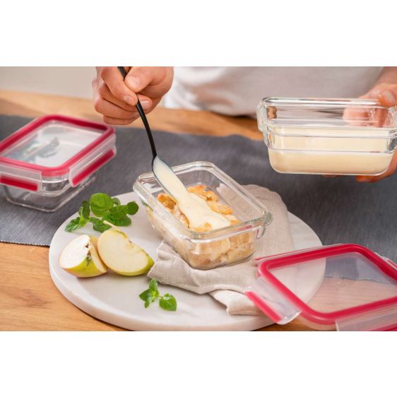 Food container TEFAL N1040510 MSEAL 0.45L, glass