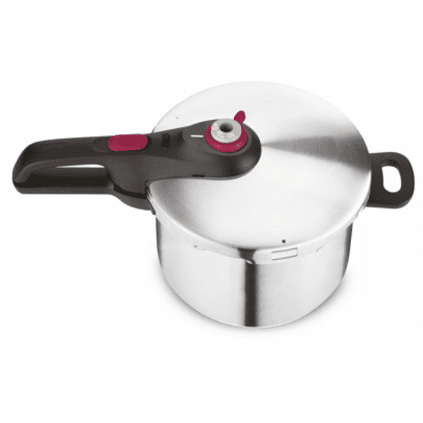 Tefal P2530750 saucepan, 6 l.