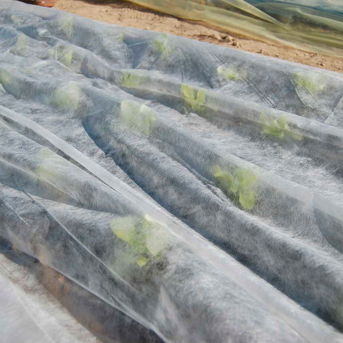 ANTI-FREEZE COVER 160CM TENAX ORTOCLIMA