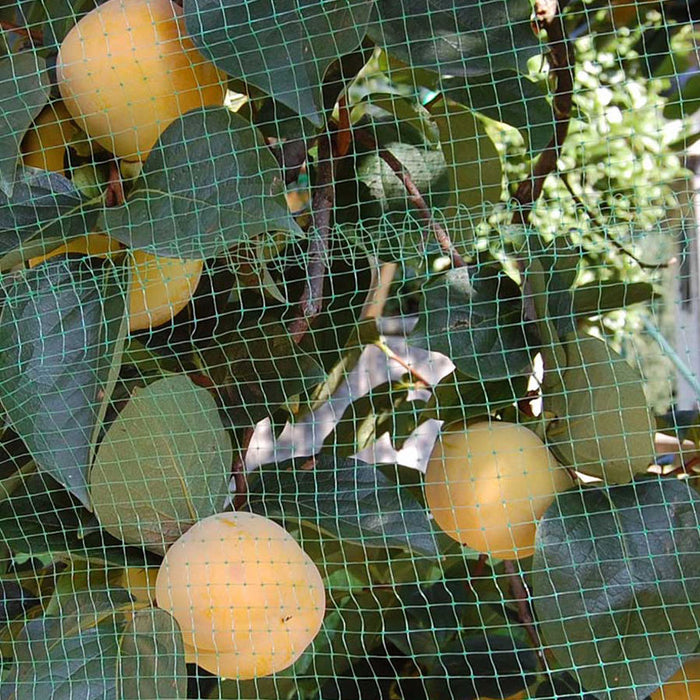 NET 400CM TENAX ORTOFLEX