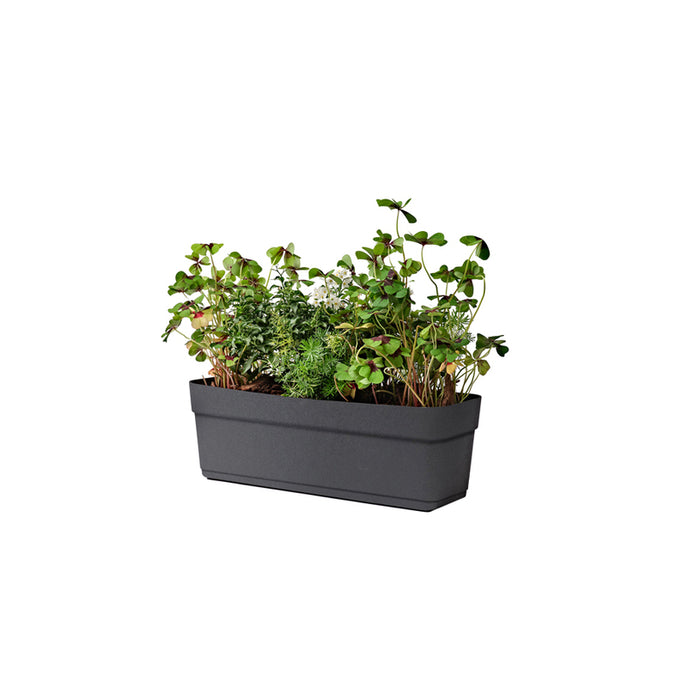 PLASTIC BOX 50CM TERA BLOSSOM