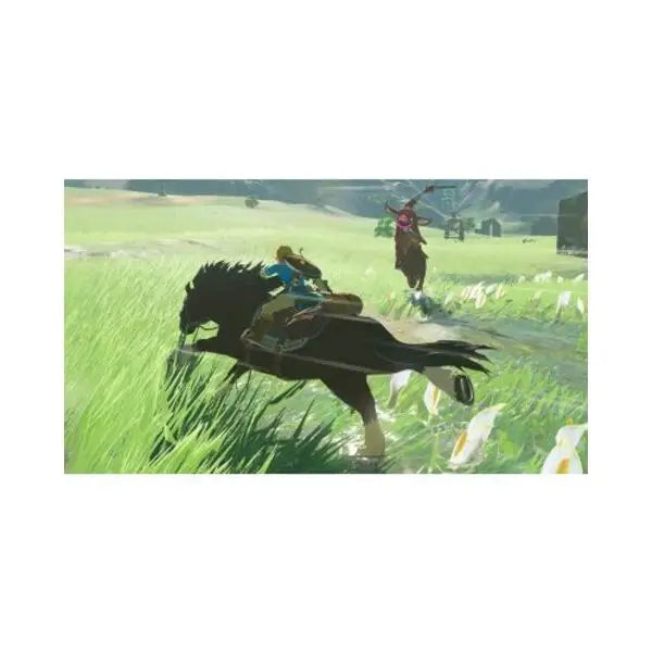 The Legend of Zelda: Breath of the Wild Game (NSW) - Игри<<<Конзоли и аксесоари<<<ТВ Аудио Gaming<<<ZoraSite